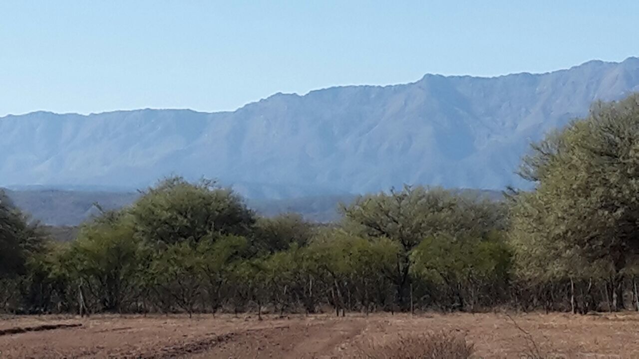 Todo Loteos