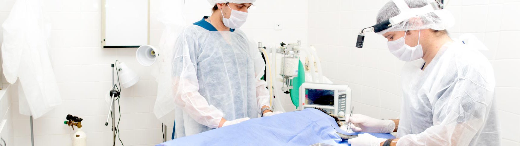 Veterinaria Dr Balbi