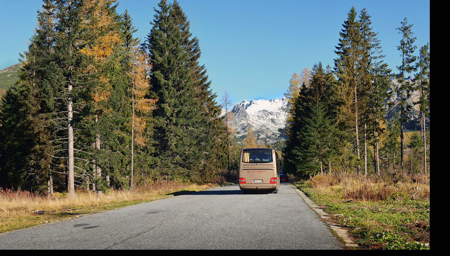 Mar y Valle Transporte
