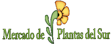 Mercado de Plantas