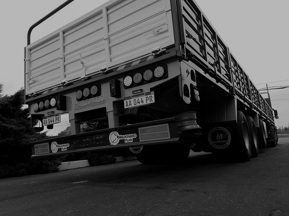 Transportes Puerto Nuevo - Empresa de Transporte